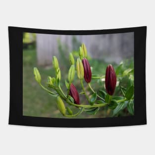 Multicolored Flower Buds 2 Tapestry