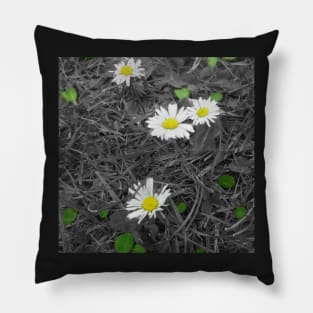 Daisies Pillow