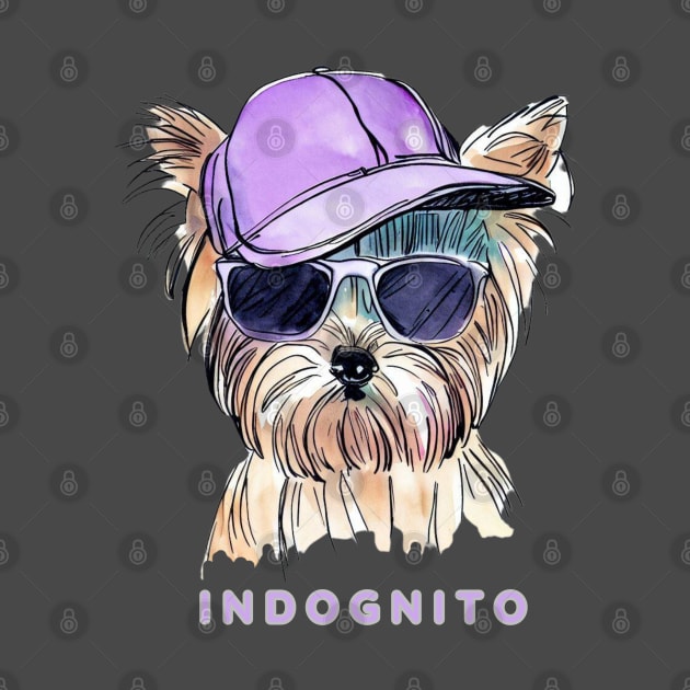 Yorkshire Terrier Indognito by ZogDog Pro