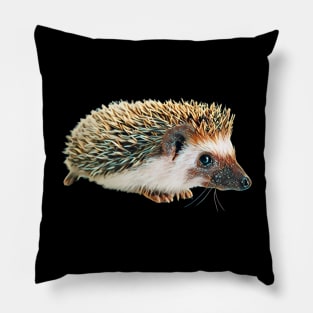 Hedgehog - Woodland Themed Kids Room, Funny Gifts For Forester, Cute Anima Pillow