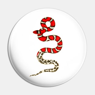 serpent,cobra,reptile,viper,venom,lizard,rattlesnake,king cobra,dragon,hydra,poison,venomous,plumber's snake,pythonidae,pythons,auger,python,squamata,serpentine,worm,big,ophidian,rattlesnakes,medusa,snakebite Pin