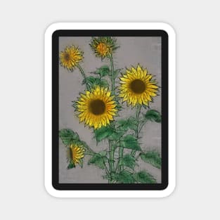 Growing Sunflowers Magnet