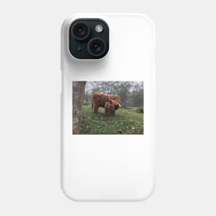 Scottish Highland Cattle Cow and Calf 1555 Phone Case