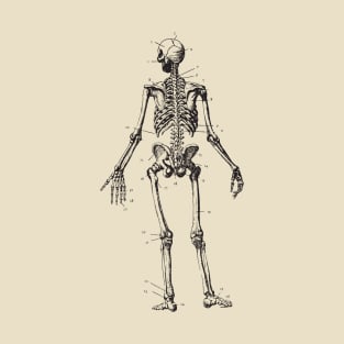 skeleton anatomy T-Shirt