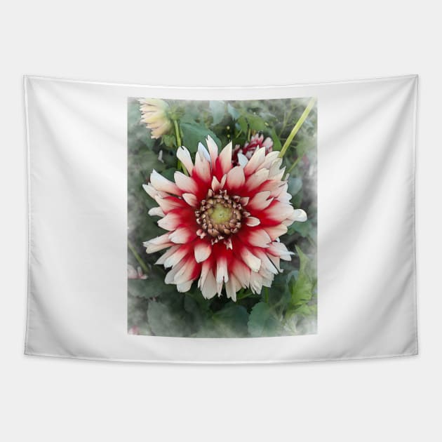 Dahlia Bloom Of Soft Red And White Tapestry by KirtTisdale