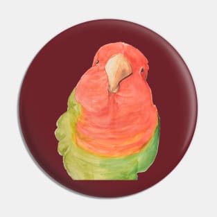 Watercolor loverbird lovebird parrot bird pink and green Pin