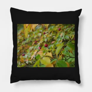 Red tree fruit Pillow