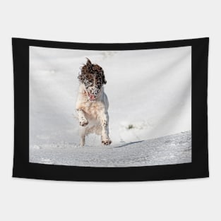 English Springer Spaniel in snow Tapestry