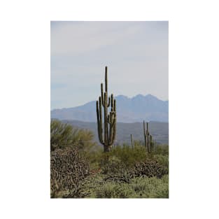 Saguaro, MacDowell Mountain Regional Park T-Shirt