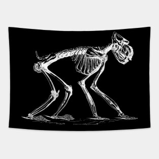 Ape Skeleton Tapestry