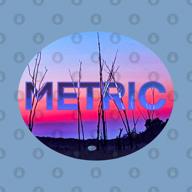 Metric by Noah Monroe