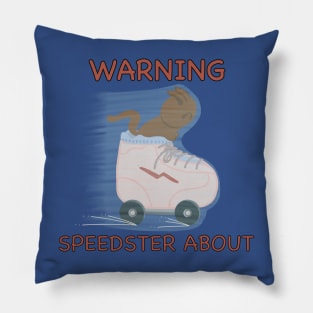 Cute Cat Speedster in a Skate Pillow