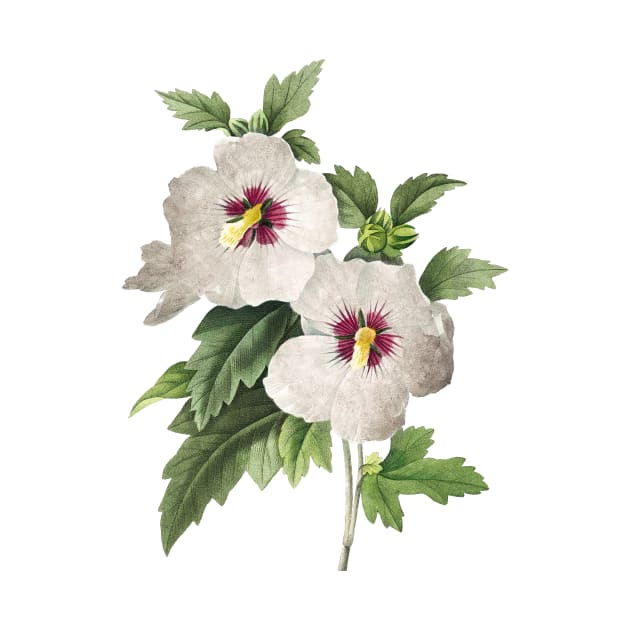 White Flowers painting, Hibiscus by T-SHIRT-2020