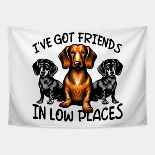 Dachshund I've Got Friends In Low Places Wiener Dog Tapestry