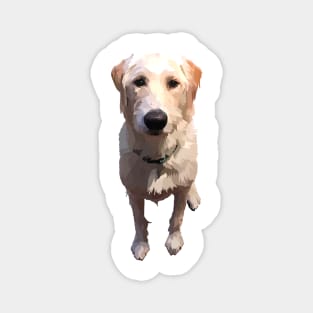 Cute White Yellow Lab Magnet