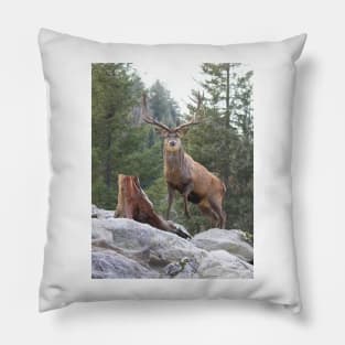 Red Deer Stag Pillow