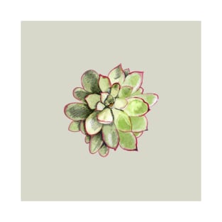 Echeveria T-Shirt