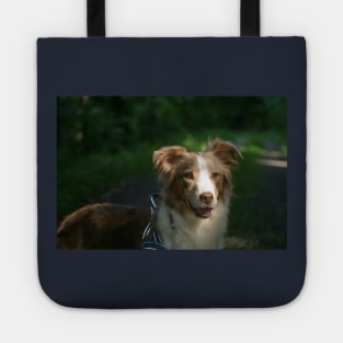 australian shepherd red merle Tote