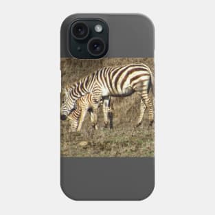 Grazing zebras Phone Case