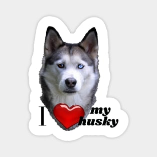 I love my husky Magnet