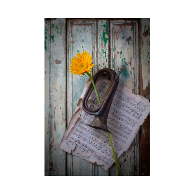 Old Horn And Sunflower On Old Door by photogarry