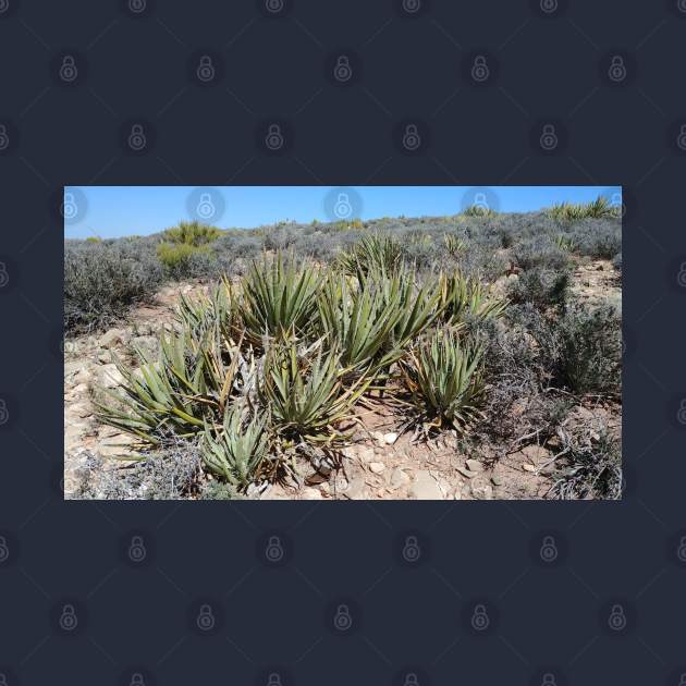 Desert Plant by SpillProofLiquid