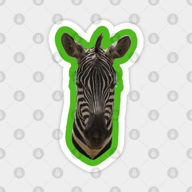 Zebra Portrait Magnet by ellenhenryart