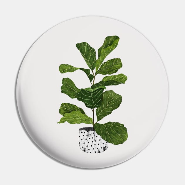 Fiddle leaf fig tree interior plant Pin by Elbuenlimon