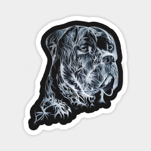 Cane Corso Painting Magnet