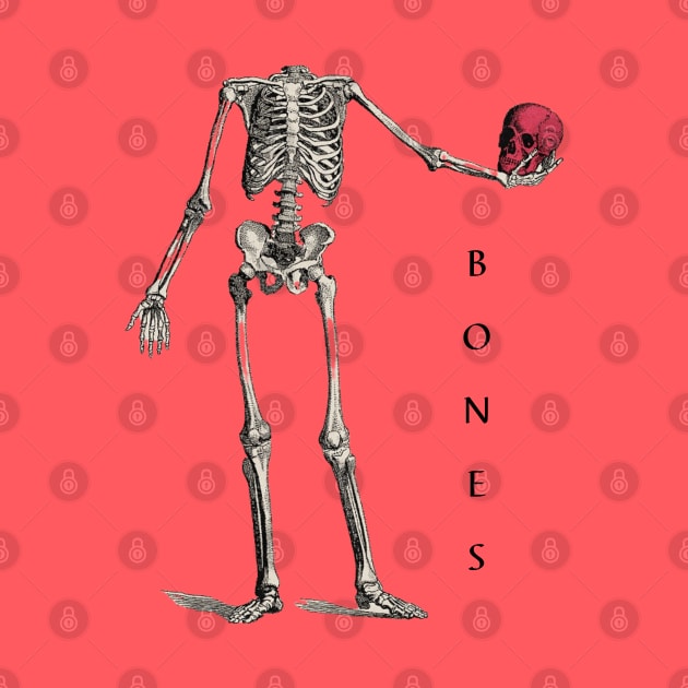 Bones by The Inspire Cafe