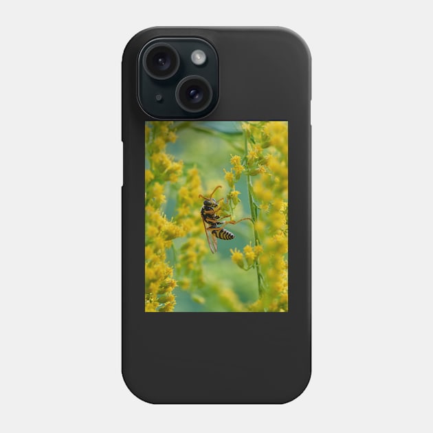 Out on a limb Phone Case by mbangert