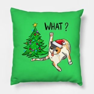 What? Funny Christmas Cat Pillow