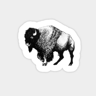 Buffalo Ink Bison Drawing Magnet