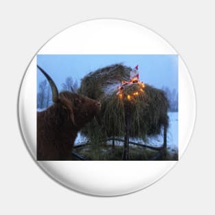 Scottish Highland Cattle Cow 2209 Pin