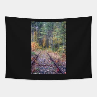 Track Trough Autumn Tapestry