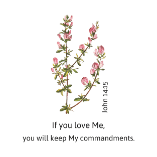 If you love me.  John 14:15 T-Shirt