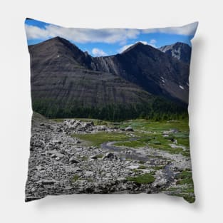 Ptarmigan Cirque. Pillow