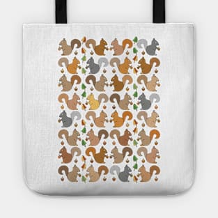 Cute and Colorful Squirel Pattern Tote