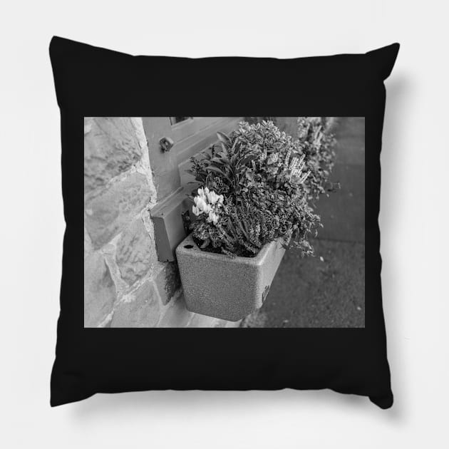 The window box Pillow by yackers1