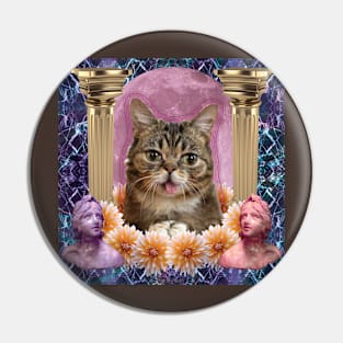 internet cat paradise Pin