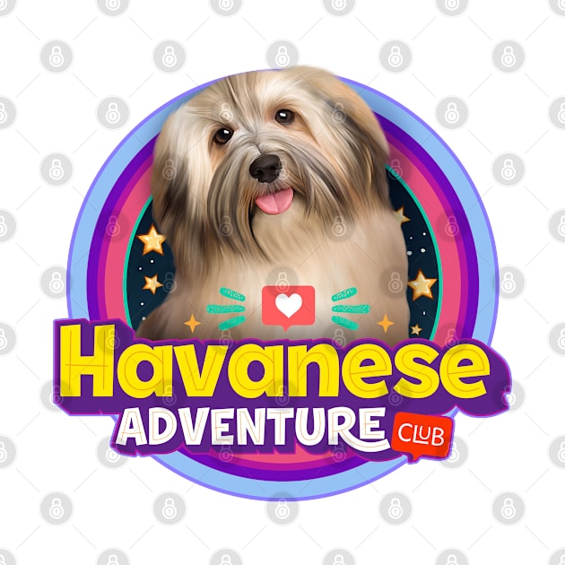 Havanese dog by Puppy & cute