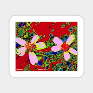 Fleurs Matisses Magnet