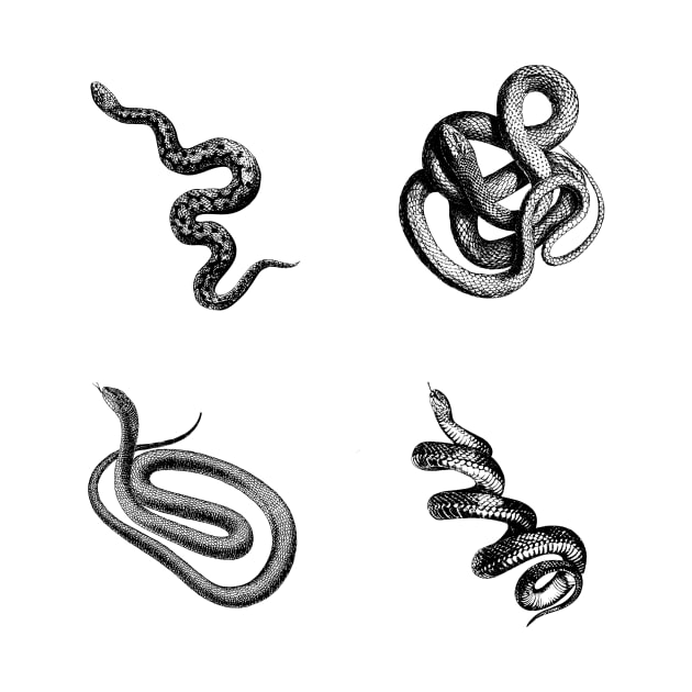 Snake vibes by Illume Stickers