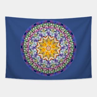 Mandala Magic- Sparkles In The Light Tapestry