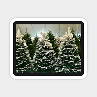 Christmas Trees with Fake Snow Magnet