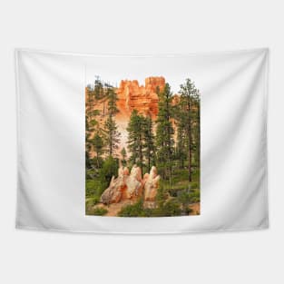 View from a Bryce Canyon Trail Tapestry