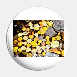 Aspen Leaves and Fall Colors in Colorado Pin