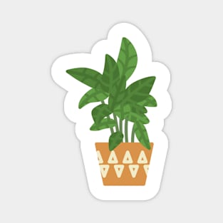 Calathea Magnet