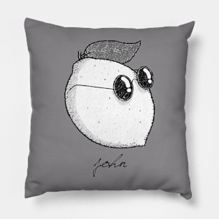 John Lemmon Pillow