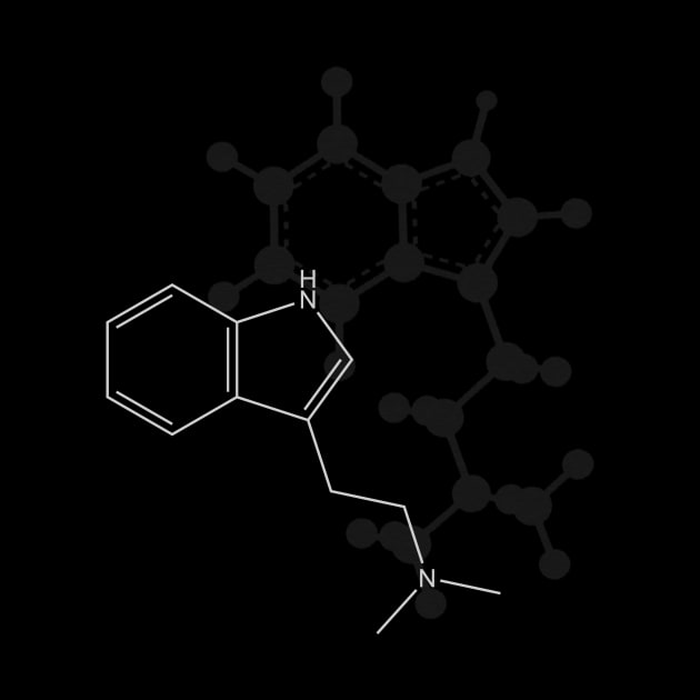 DMT Molecule by ChemECool